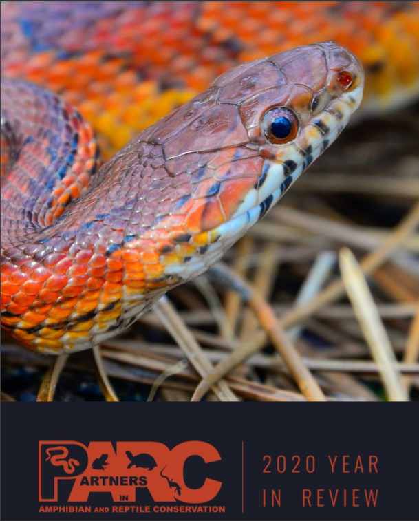 PARC 2020 Annual Report