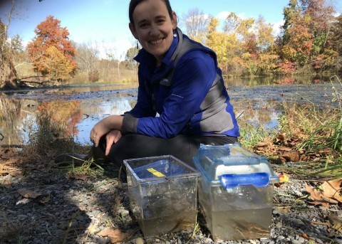 Smithsonian Conservation Biology Institute scientist Carly Muletz Wolz is swabbing salamanders in Shenandoah