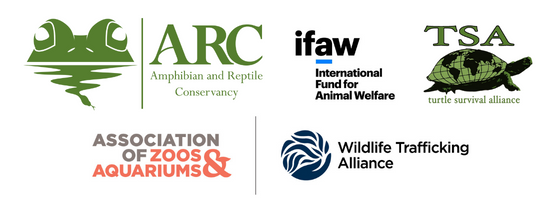 A group of logos with the Amphibian and Reptile Conservancy logo next to the International Fund for Animal Welfare logo next to the Turtle Survival Alliance logo. Below the top row of logos are the Association of Zoos and Aquariums logo and the Wildlife Trafficking Alliance logo.