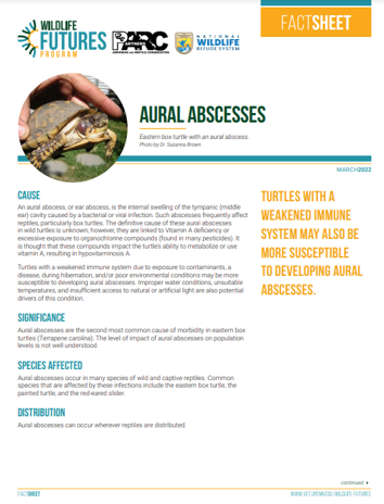 Example of a PARC Disease Fact Sheet on Aural Abscesses 
