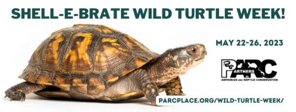 Facebook banner that says 'Shell-e-brate Wild Turtle Week!'. Below the title are the dates May 22-26, 2023, the PARC logo, and the website link to parcplace.org/wild-turtle-week/. A picture of a box turtle walking to the right is depicted.