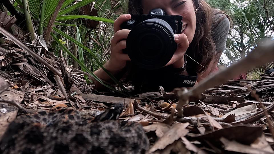 Jenna rests on her elbows on the ground with a Nikon camera facing forward. She is laying on leaves with saw palmetto off to the left of the image. Out of focus in front of her is a coiled up pygmy rattlesnake looking off to the right of the photo. 