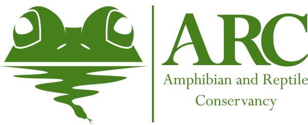ARC logo in green