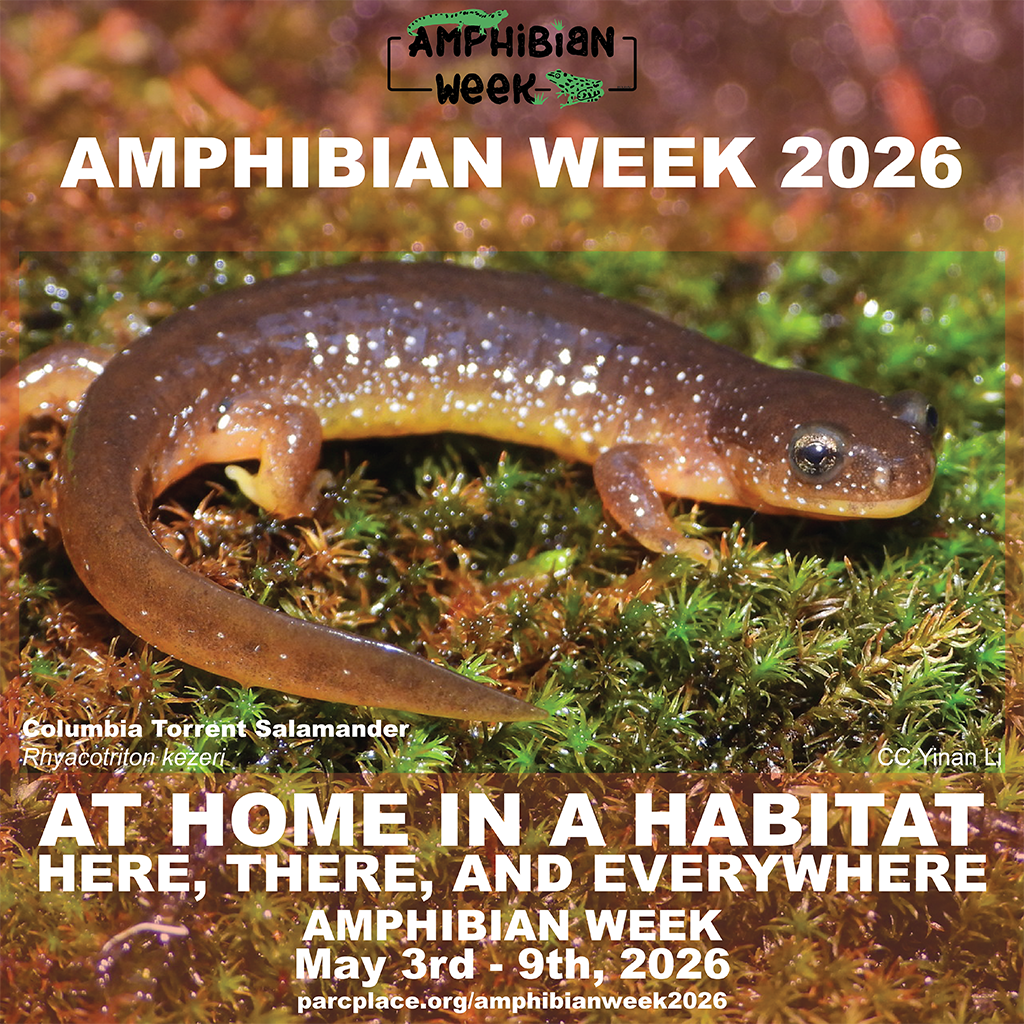 Save the Date - Amphibian Week 2026