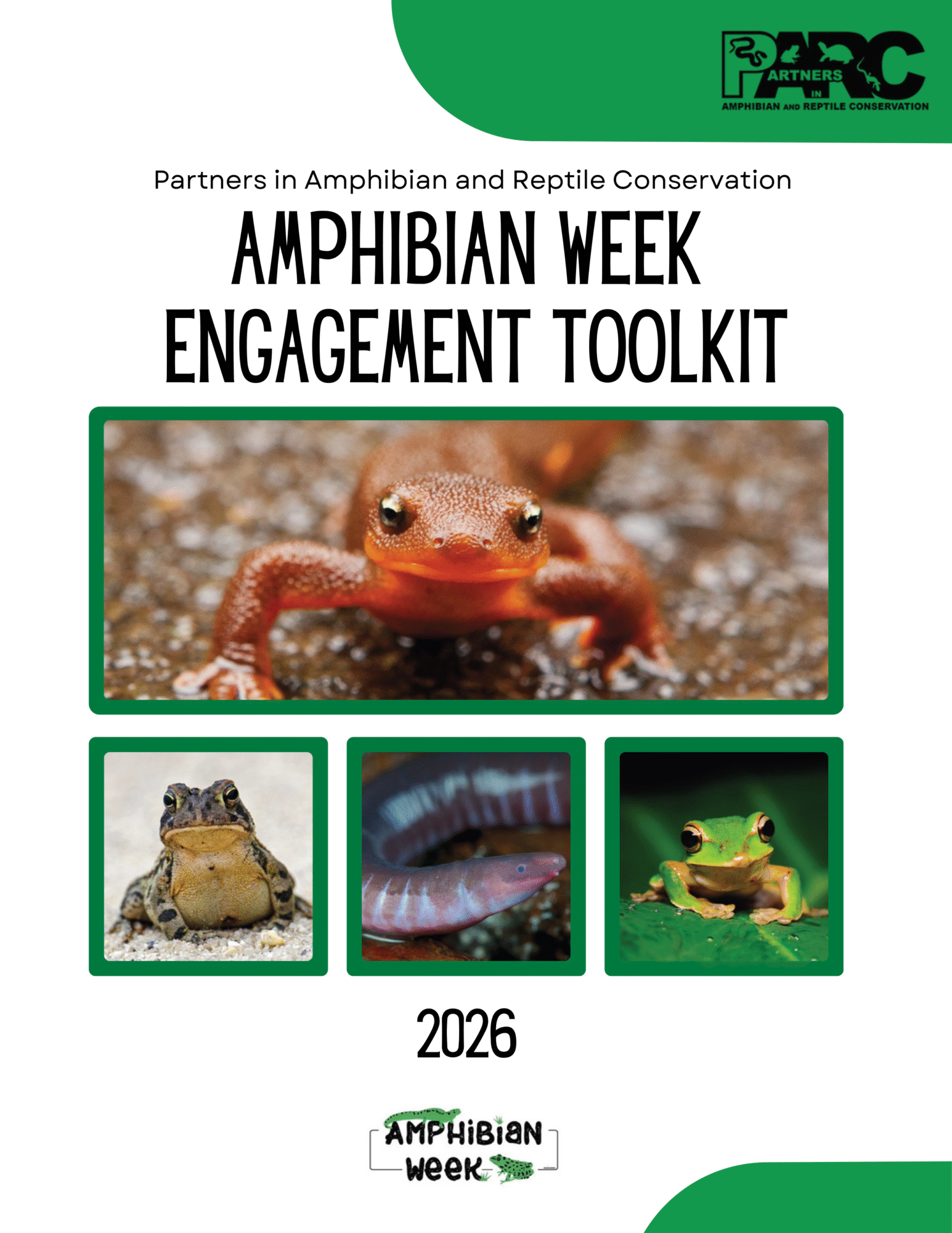 2026 Amphibian Week Engagement Toolkit